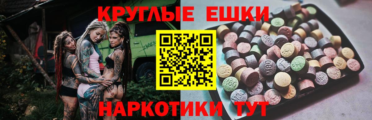 Ecstasy Philipp Plein  Вход с VPN  Экстази  Знаменск 