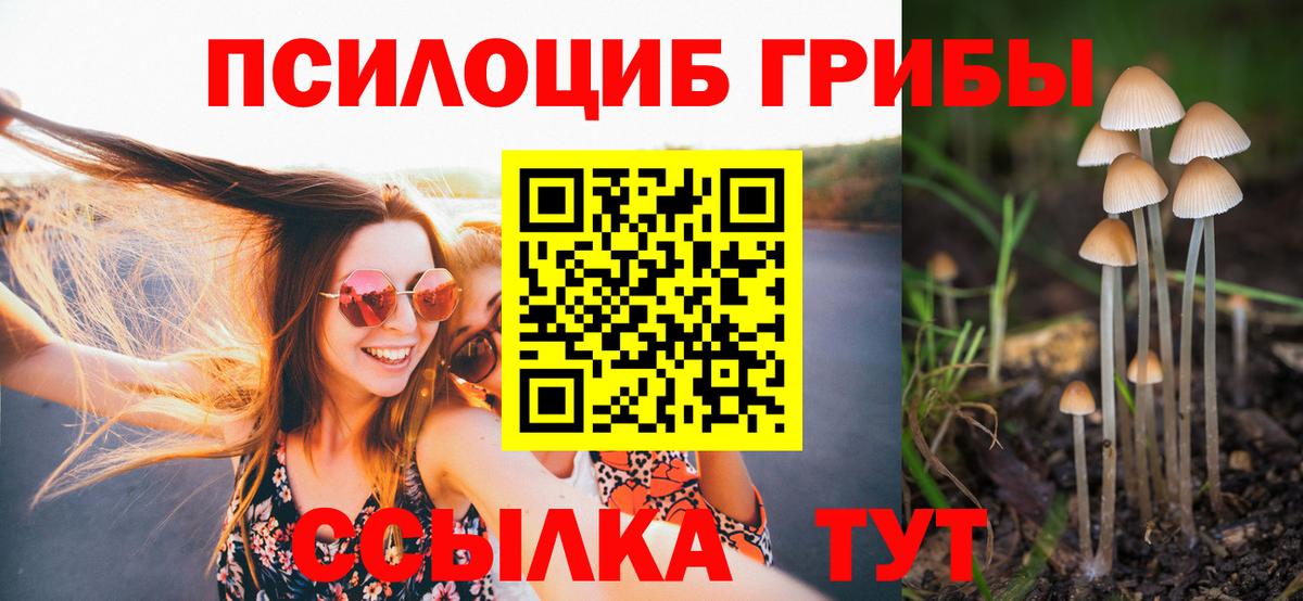 Галлюциногенные грибы прущие грибы  дарнет шоп  Псилоцибиновые грибы мухоморы  Знаменск  Вход с VPN 