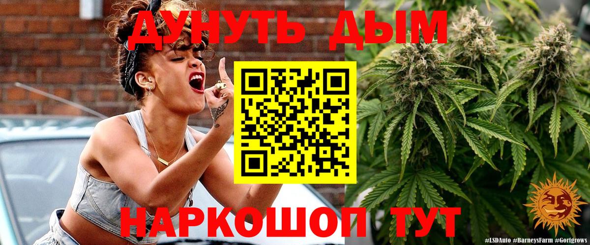 Канабис семена  Бошки Шишки ГИДРОПОН  Шишки марихуана MAZAR  Знаменск  Вход с VPN 